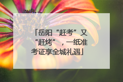 岳阳“赶考”又“赶烤”，一纸准考证享全城礼遇