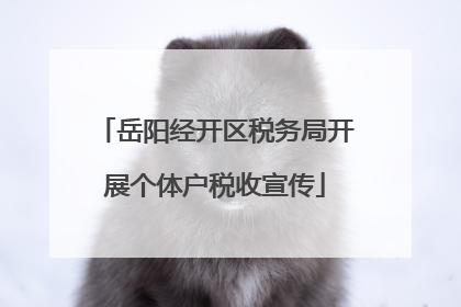 岳阳经开区税务局开展个体户税收宣传