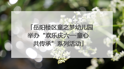 岳阳楼区童之梦幼儿园举办“欢乐庆六一·童心共传承”系列活动
