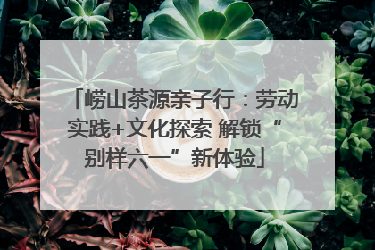 崂山茶源亲子行：劳动实践+文化探索 解锁“别样六一”新体验