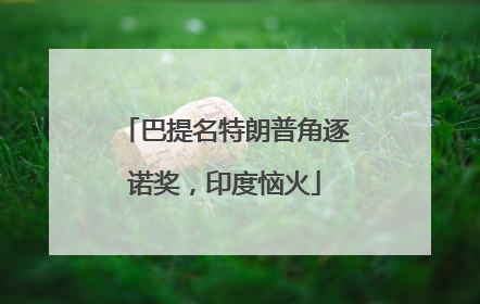 巴提名特朗普角逐诺奖，印度恼火