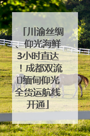 川渝丝绸、仰光海鲜3小时直达！成都双流⇌缅甸仰光全货运航线开通