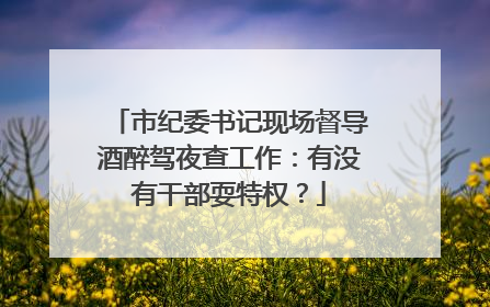 市纪委书记现场督导酒醉驾夜查工作：有没有干部耍特权？