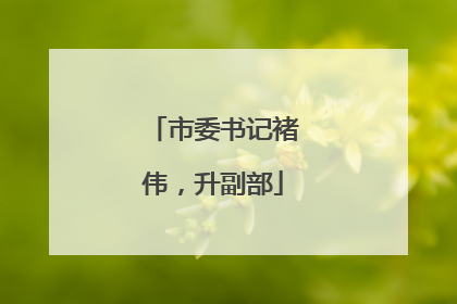 市委书记褚伟，升副部