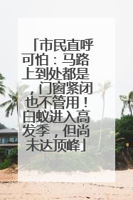 市民直呼可怕：马路上到处都是，门窗紧闭也不管用！白蚁进入高发季，但尚未达顶峰