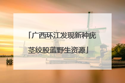 广西环江发现新种疣茎绞股蓝野生资源