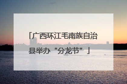 广西环江毛南族自治县举办“分龙节”