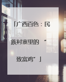 广西百色：民族村寨里的 “致富鸡”