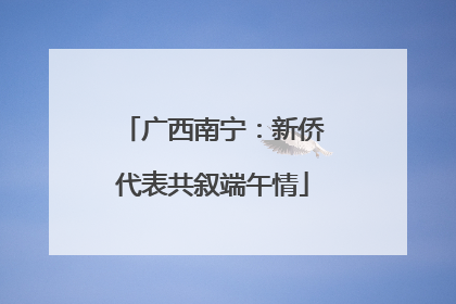 广西南宁：新侨代表共叙端午情