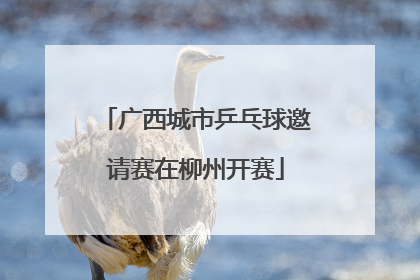 广西城市乒乓球邀请赛在柳州开赛