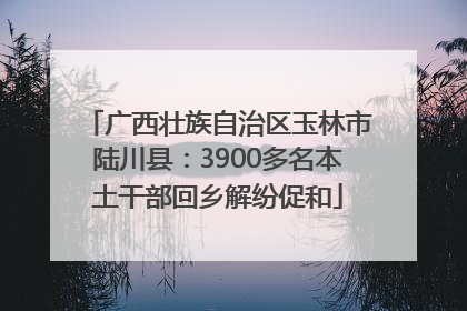 广西壮族自治区玉林市陆川县：3900多名本土干部回乡解纷促和