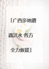 广西多地遭遇洪水 各方全力救援