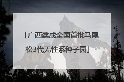 广西建成全国首批马尾松3代无性系种子园