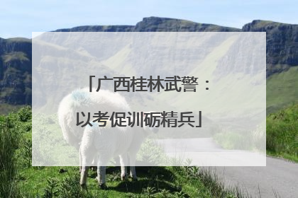 广西桂林武警：以考促训砺精兵