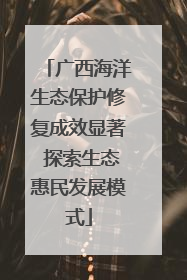 广西海洋生态保护修复成效显著 探索生态惠民发展模式