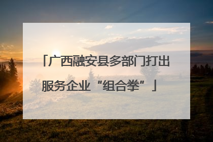 广西融安县多部门打出服务企业“组合拳”