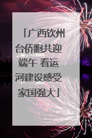 广西钦州台侨胞共迎端午 看运河建设感受家国强大