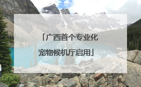 广西首个专业化宠物候机厅启用