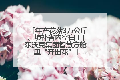 年产花菇3万公斤、填补省内空白 山东沃克集团智慧方舱里“开出花”