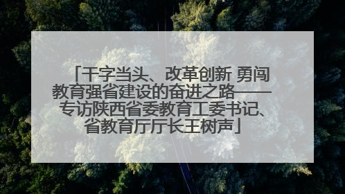 干字当头、改革创新 勇闯教育强省建设的奋进之路——专访陕西省委教育工委书记、省教育厅厅长王树声
