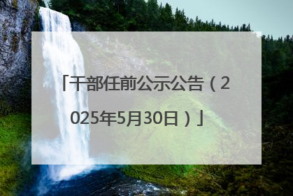 干部任前公示公告（2025年5月30日）