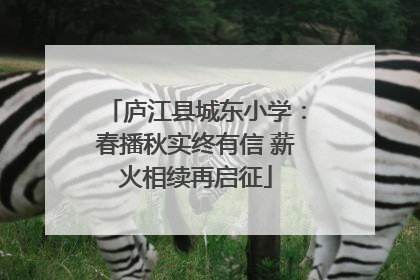 庐江县城东小学：春播秋实终有信 薪火相续再启征