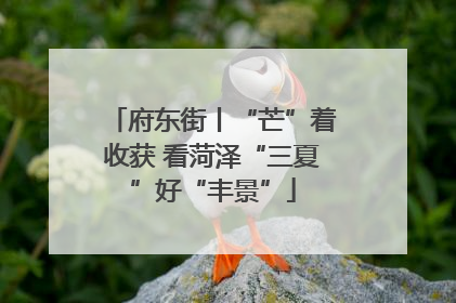府东街丨“芒”着收获 看菏泽“三夏”好“丰景”