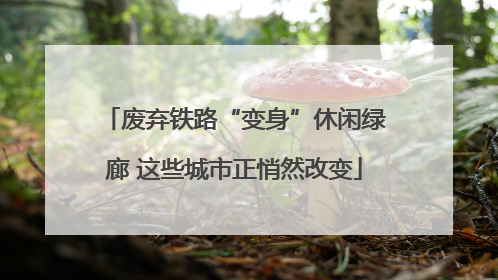 废弃铁路“变身”休闲绿廊 这些城市正悄然改变