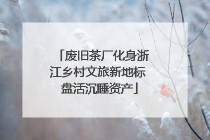 废旧茶厂化身浙江乡村文旅新地标 盘活沉睡资产