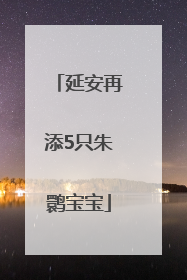 延安再添5只朱鹮宝宝