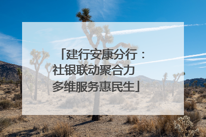 建行安康分行：社银联动聚合力 多维服务惠民生