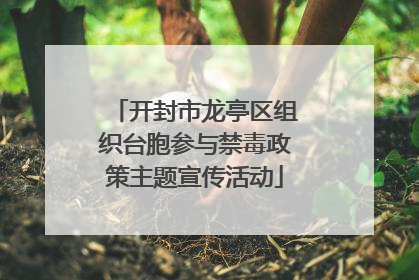 开封市龙亭区组织台胞参与禁毒政策主题宣传活动
