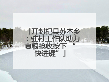 开封杞县苏木乡：驻村工作队助力夏粮抢收按下 “快进键”
