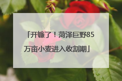 开镰了！菏泽巨野85万亩小麦进入收割期