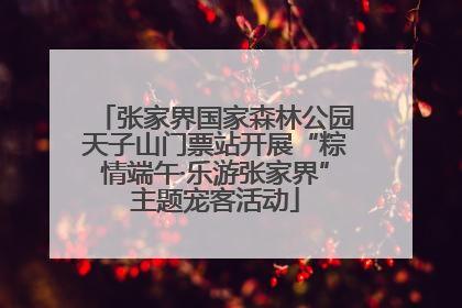 张家界国家森林公园天子山门票站开展“粽情端午·乐游张家界”主题宠客活动