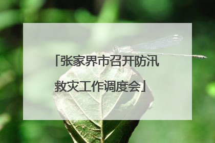 张家界市召开防汛救灾工作调度会