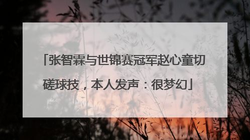 张智霖与世锦赛冠军赵心童切磋球技，本人发声：很梦幻
