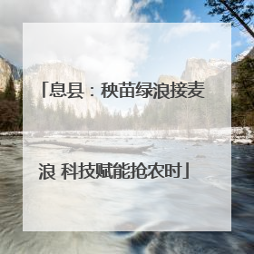 息县：秧苗绿浪接麦浪 科技赋能抢农时
