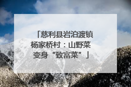 慈利县岩泊渡镇杨家桥村：山野菜变身“致富菜”