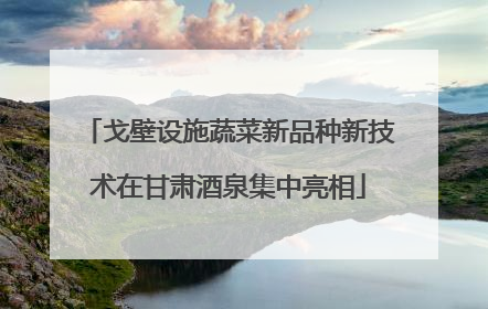戈壁设施蔬菜新品种新技术在甘肃酒泉集中亮相