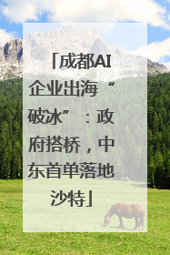 成都AI企业出海“破冰”：政府搭桥，中东首单落地沙特