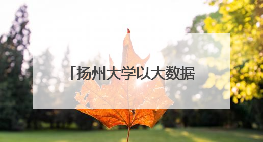 扬州大学以大数据赋能就业工作和人才培养 全链条就业帮扶畅通求职路