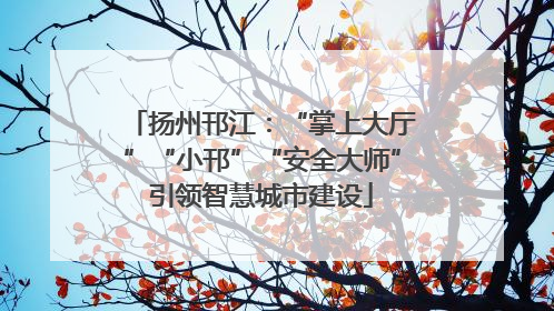 扬州邗江：“掌上大厅”“小邗”“安全大师”引领智慧城市建设