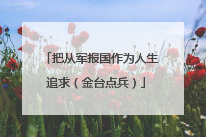 把从军报国作为人生追求（金台点兵）