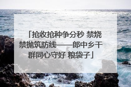抢收抢种争分秒 禁烧禁抛筑防线——郎中乡干群同心守好 粮袋子