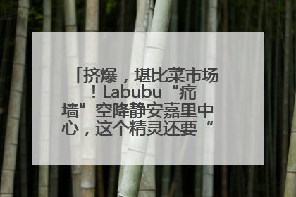 挤爆，堪比菜市场！Labubu“痛墙”空降静安嘉里中心，这个精灵还要“突袭”便利店？