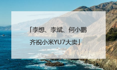 李想、李斌、何小鹏齐祝小米YU7大卖