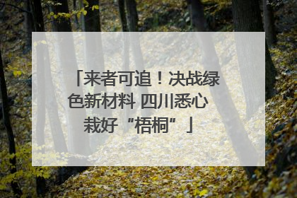 来者可追！决战绿色新材料 四川悉心栽好“梧桐”
