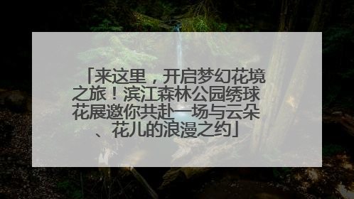 来这里，开启梦幻花境之旅！滨江森林公园绣球花展邀你共赴一场与云朵、花儿的浪漫之约