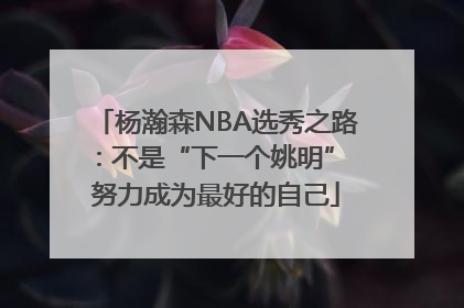 杨瀚森NBA选秀之路：不是“下一个姚明” 努力成为最好的自己